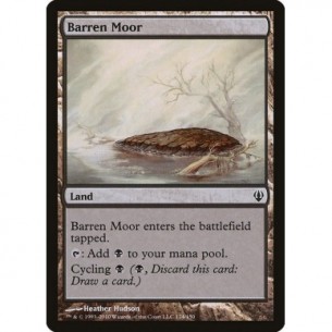 Barren Moor