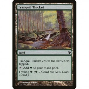 Tranquil Thicket