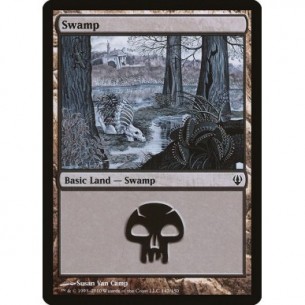 Swamp