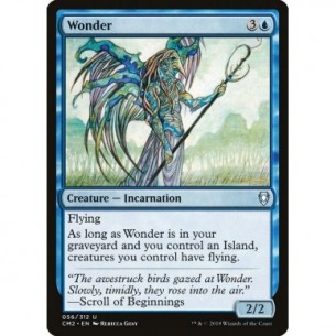 Wonder