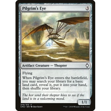 Pilgrim's Eye