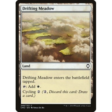 Drifting Meadow