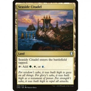 Seaside Citadel