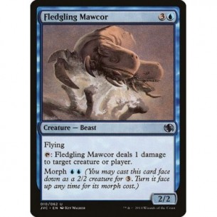 Fledgling Mawcor