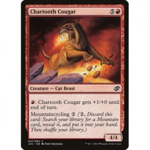 Chartooth Cougar