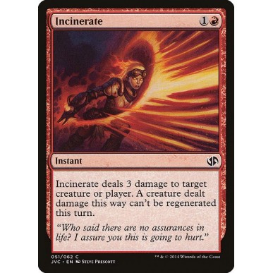 Incinerate