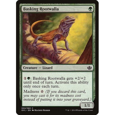 Basking Rootwalla