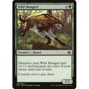 Wild Mongrel