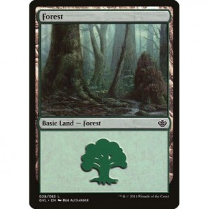 Forest