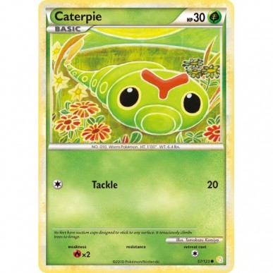 Caterpie
