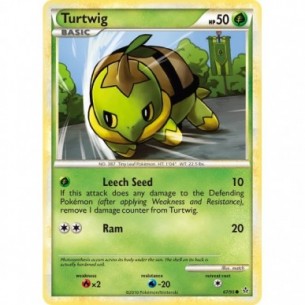 Turtwig