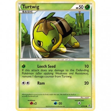 Turtwig