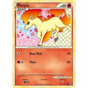 Ponyta