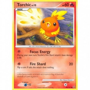 Torchic