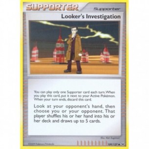Looker's Investigation