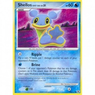 Shellos East Sea