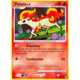 Ponyta