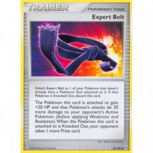 Expert Belt