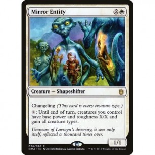 Mirror Entity