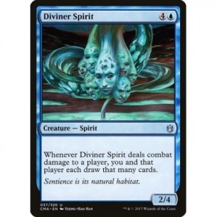 Diviner Spirit
