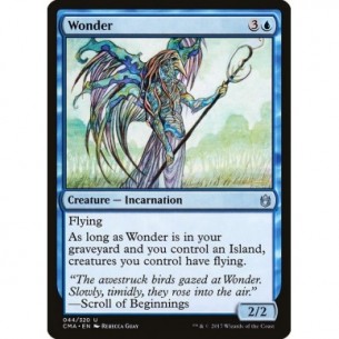 Wonder
