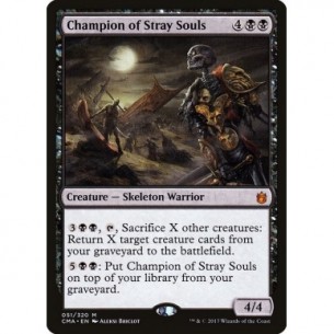 Champion of Stray Souls