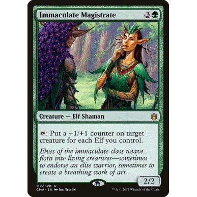 Immaculate Magistrate