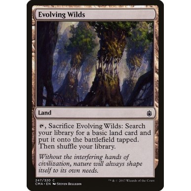 Evolving Wilds