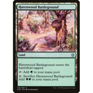 Havenwood Battleground