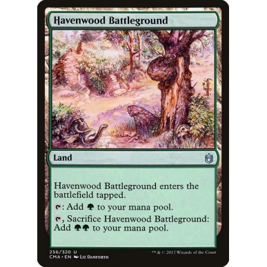 Havenwood Battleground