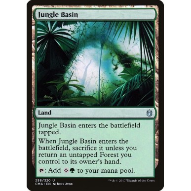 Jungle Basin