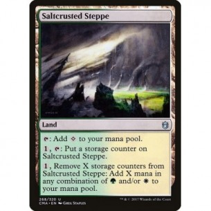 Saltcrusted Steppe