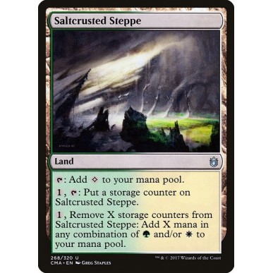 Saltcrusted Steppe
