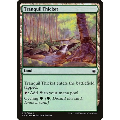 Tranquil Thicket