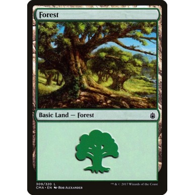 Forest