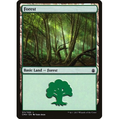 Forest