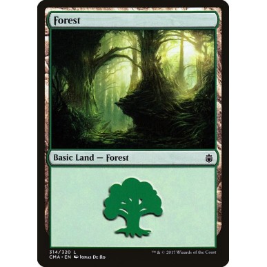 Forest