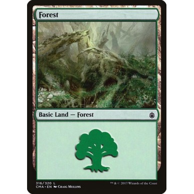 Forest