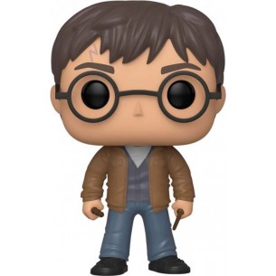 Funko Pop 118 - Harry Potter (Special Edition) 2