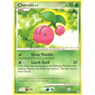 Cherubi