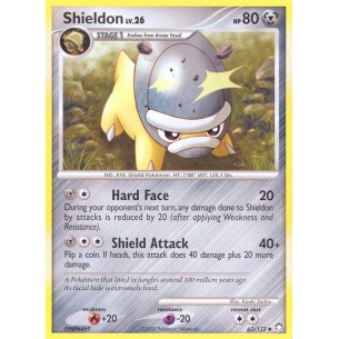 Shieldon