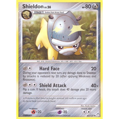 Shieldon