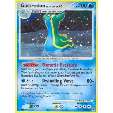 Gastrodon East Sea