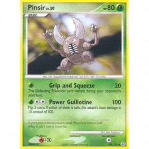 Pinsir