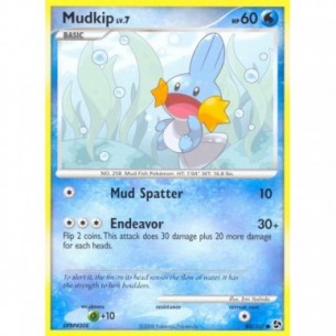 Mudkip