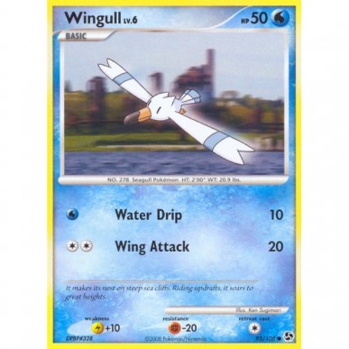 Wingull