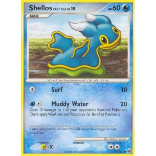 Shellos East Sea