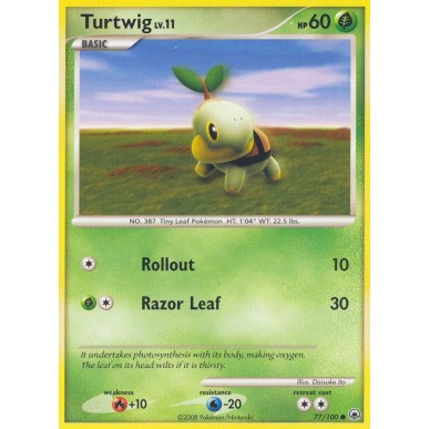 Turtwig