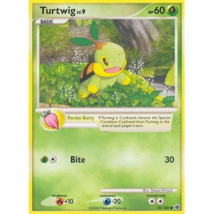 Turtwig