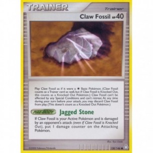Claw Fossil